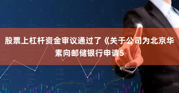 股票上杠杆资金审议通过了《关于公司为北京华素向邮储银行申请5