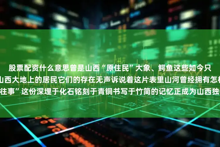 股票配资什么意思曾是山西“原住民”大象、鳄鱼这些如今只能在南方见到的动物也曾是山西大地上的居民它们的存在无声诉说着这片表里山河曾经拥有怎样一段漫长而热烈的“热带往事”这份深埋于化石铭刻于青铜书写于竹简的记忆正成为山西独特地质与生态史最生动的注脚来源丨山西省文化和旅游厅发布于：北京市